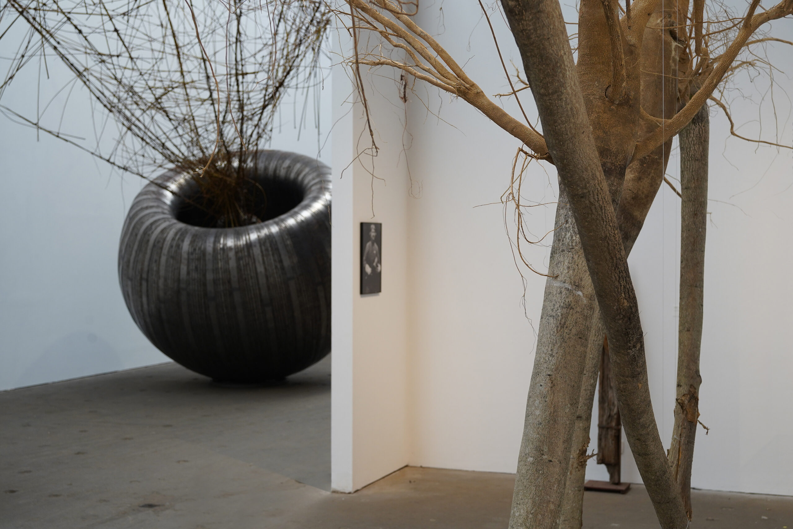 Will Beckers, The merriment of the fragmentation, Verbeke Foundation, zomertentoonstelling 2026, ruimtelijk werk, sculptuur, installaties
