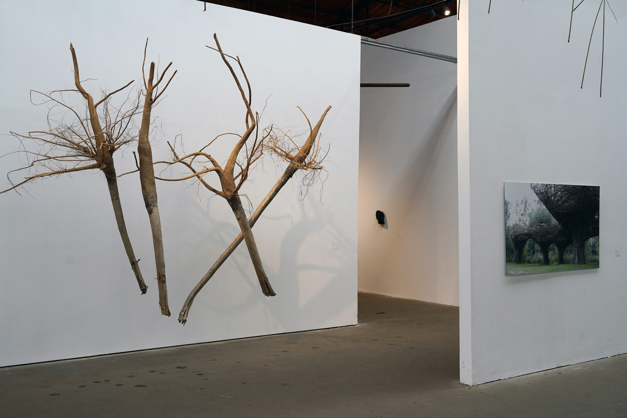 Will Beckers, The merriment of the fragmentation, Verbeke Foundation, zomertentoonstelling 2026, ruimtelijk werk, sculptuur, installaties