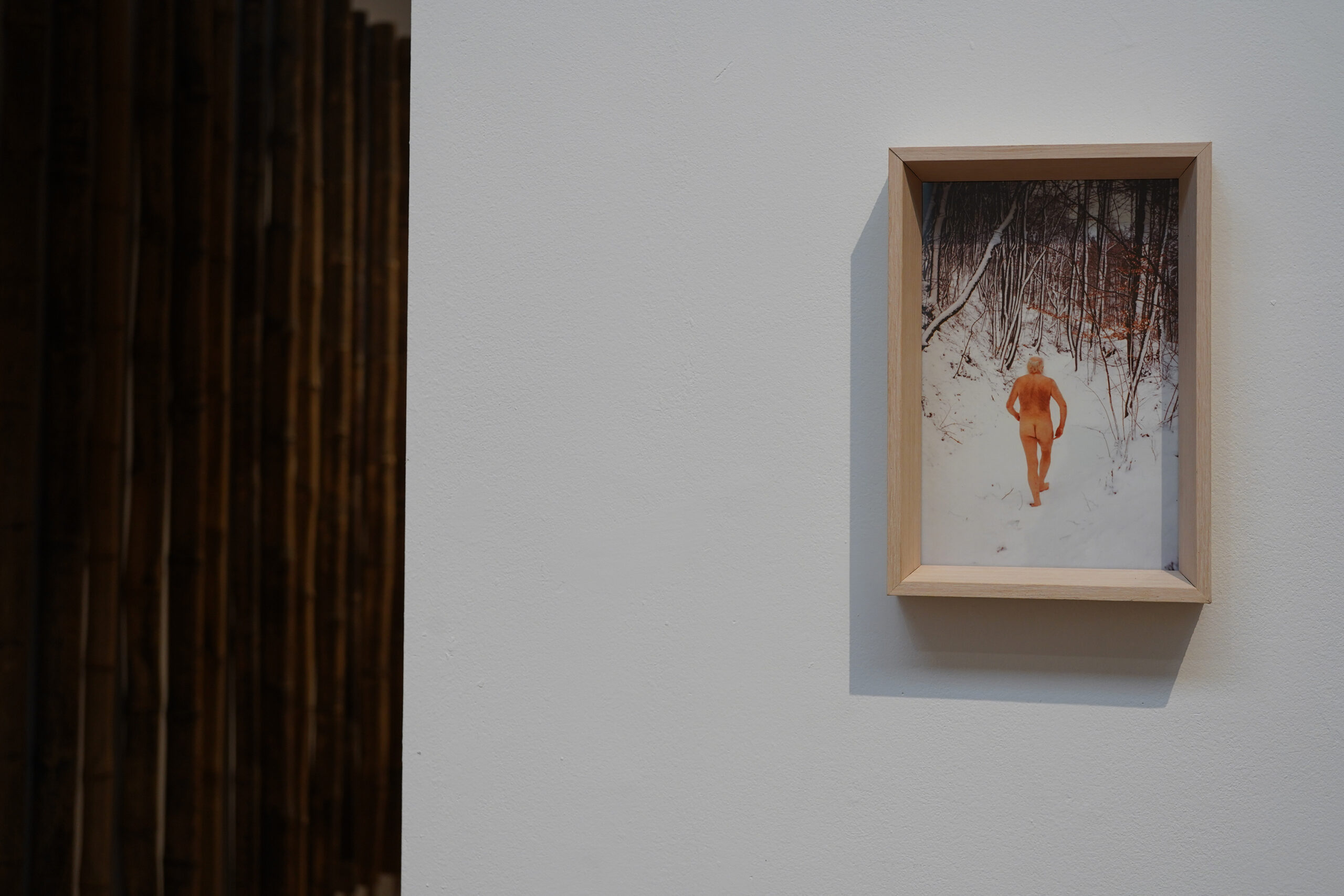 herman de vries, Verbeke Foundation, zomertentoonstelling 2026, ecoart