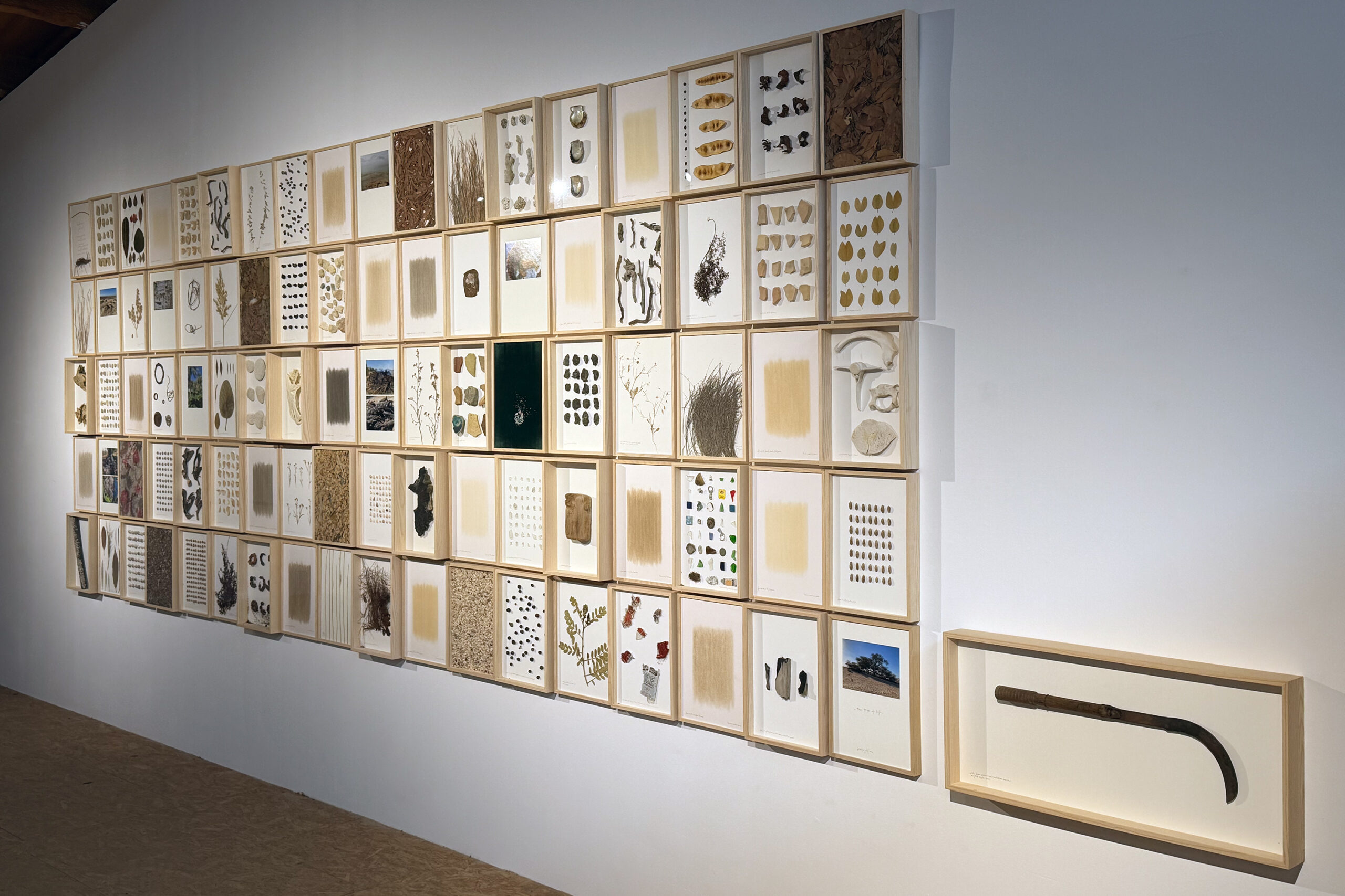 herman de vries, Verbeke Foundation, zomertentoonstelling 2026, ecoart